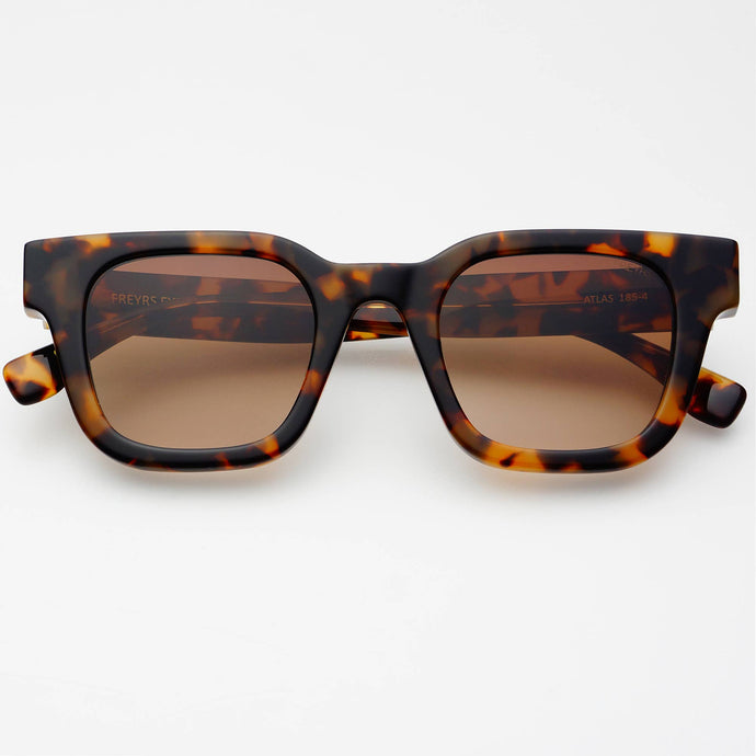 Atlas Acetate Mens Rectangular Sunglasses: Tortoise / Brown