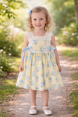 Lace Trimmed Cotton Dress | Butter