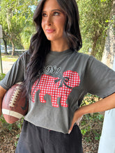 Go Dawgs Gingham Tee | Pepper