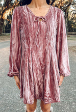 Holiday Bubbly Velvet Dress | Pink